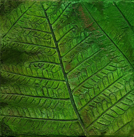 Catkin Tree Studio | Fern print no. 1